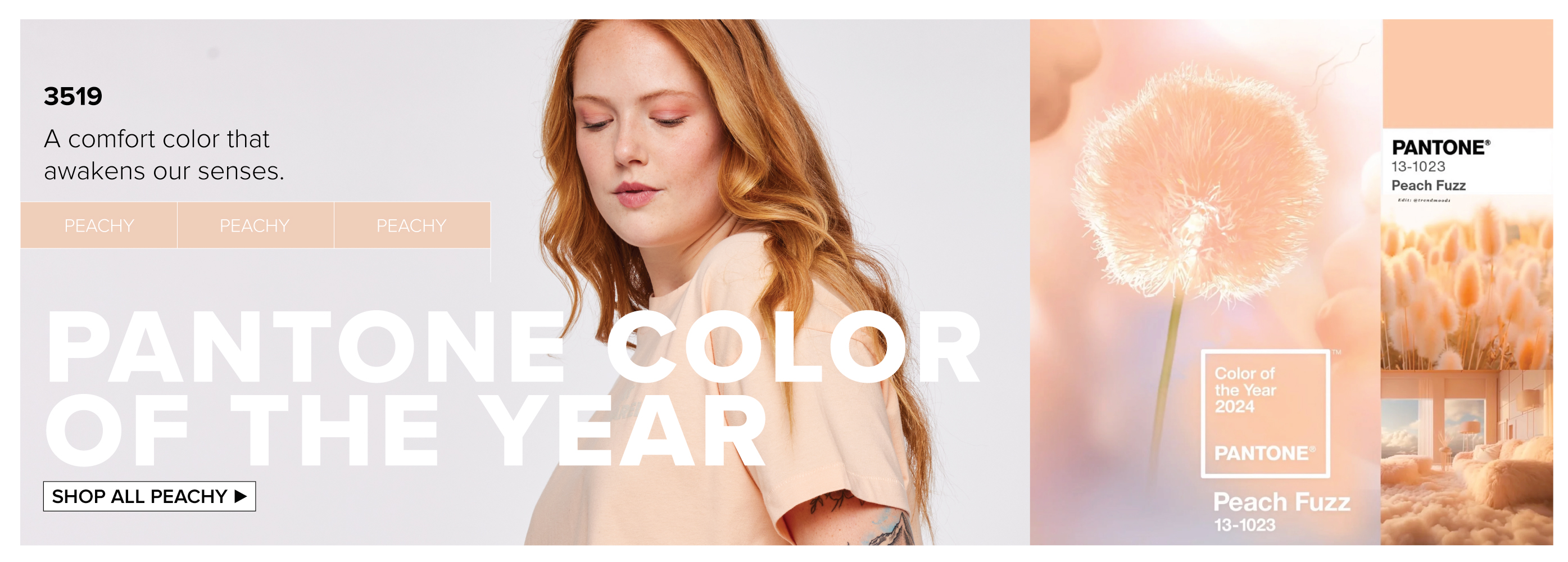 Pantone Color of the Year:  3519